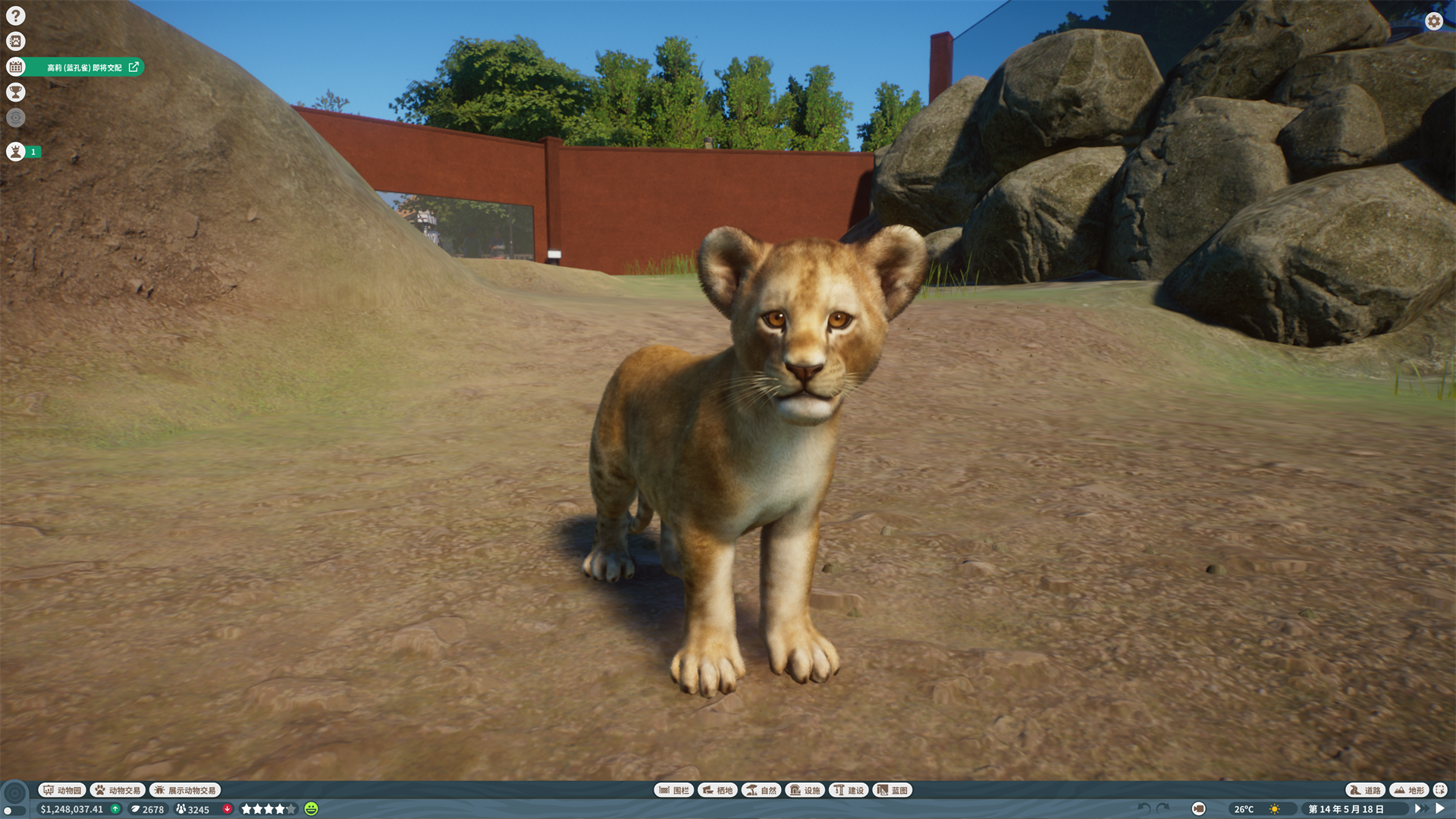 动物园之星（Planet Zoo）-熊猫乐游